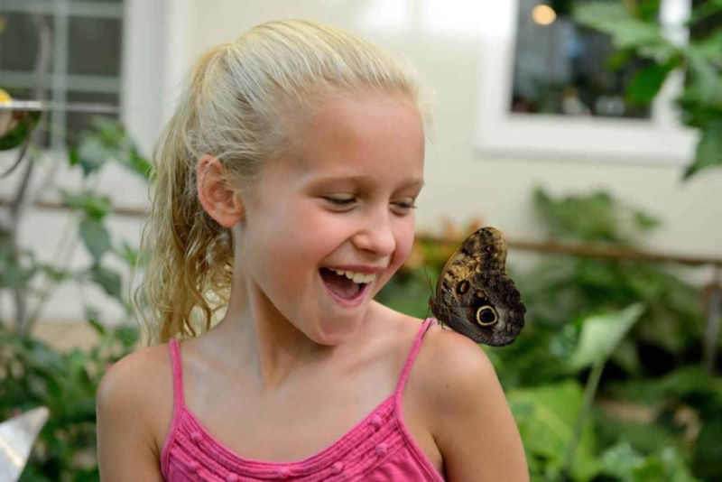 little girl with butterfly on her shoulder at the Hershey Gardens