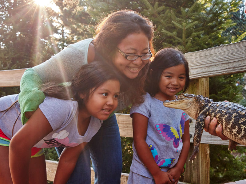 alligator animal encounter at ZooAmerica