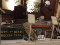 hershey bears museum display